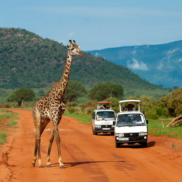 3 DAY TSAVO WEST/TSAVO EAST PRIVATE SAFARI